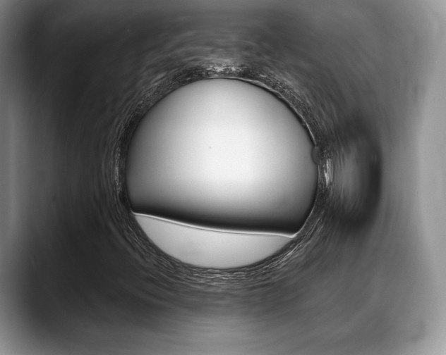 X0000088871396200706080711