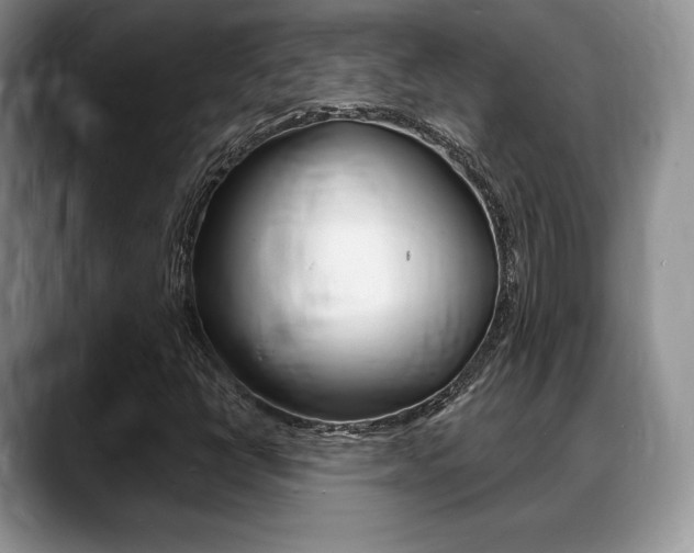 X0000088871398200706080711
