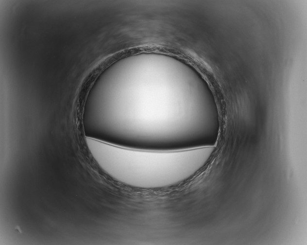 X0000088871400200706080711