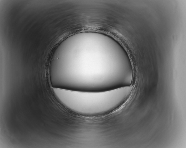 X0000088871401200706080711