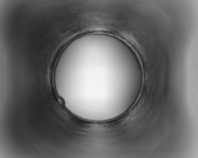 X0000088871404200706080712