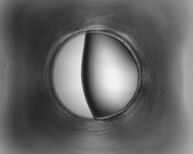 X0000088871406200706080712