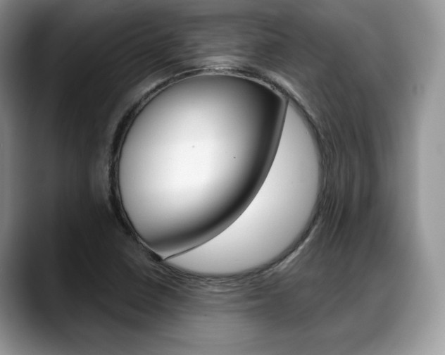 X0000088871410200706080712