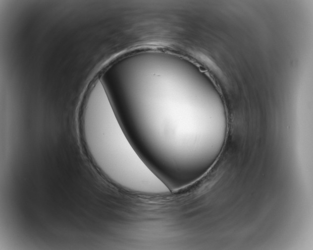 X0000088871412200706080712