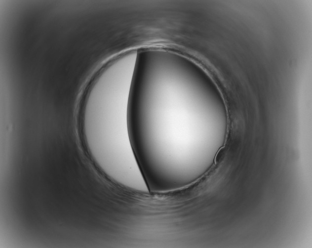 X0000088871414200706080712