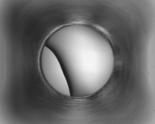 X0000088871423200706080712