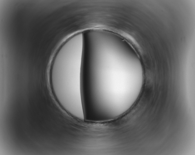 X0000088871424200706080712