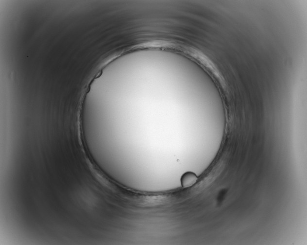 X0000088871425200706080712