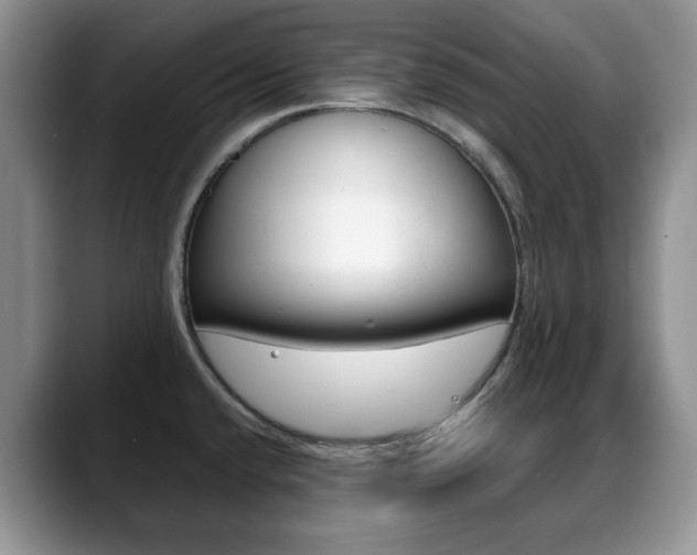 X0000088871432200706080712