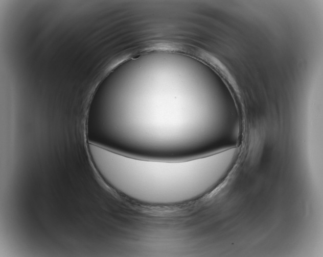 X0000088871433200706080712