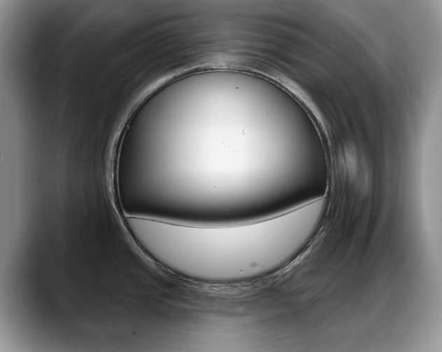 X0000088871437200706080712