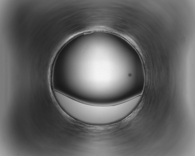 X0000088871438200706080712