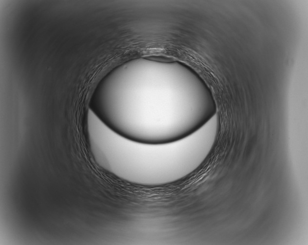 X0000088871441200706080711