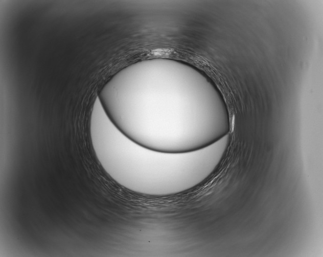 X0000088871443200706080711