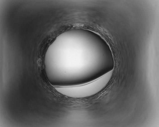 X0000088871445200706080711