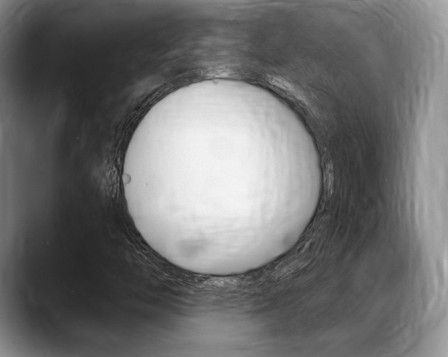 X0000088871446200706080711