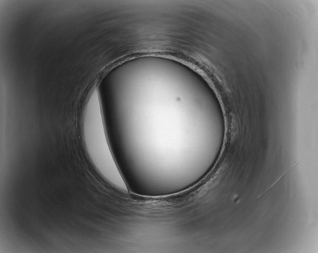 X0000088871449200706080711