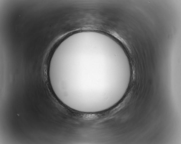 X0000088871454200706080711