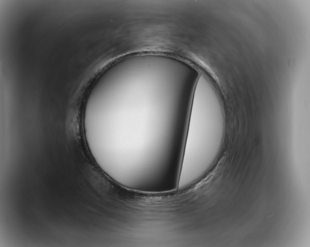 X0000088871455200706080711