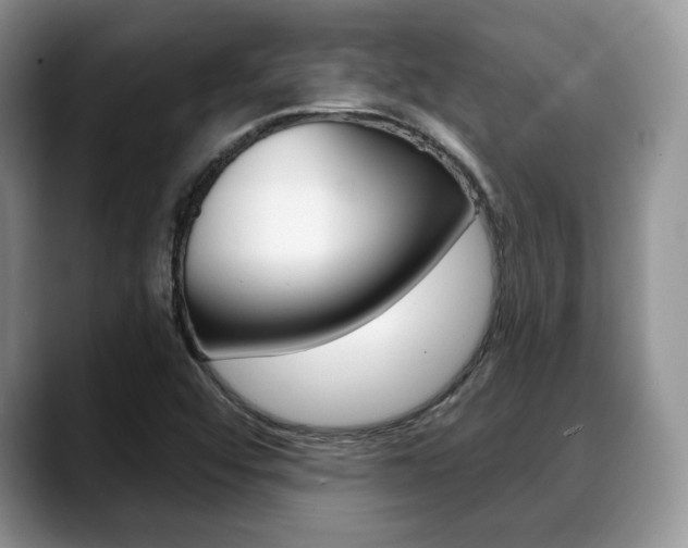 X0000088871456200706080711