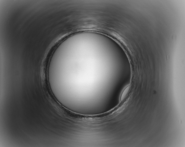 X0000088871458200706080711