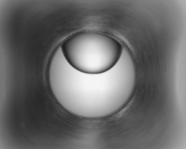 X0000088871461200706080711
