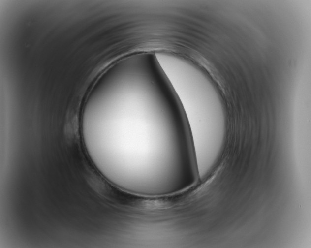 X0000088871465200706080711