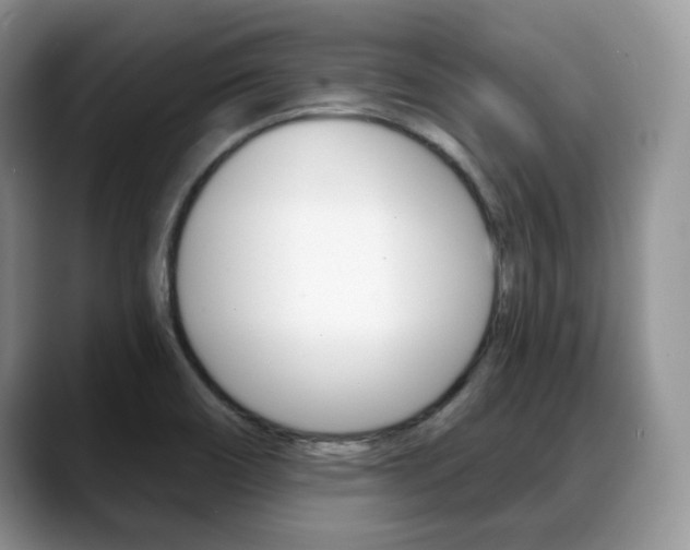 X0000088871466200706080711