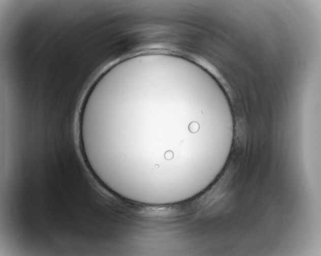 X0000088871474200706080711