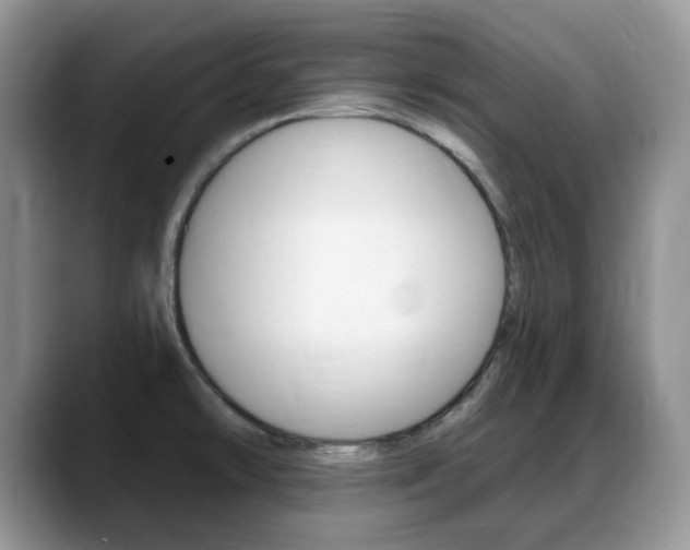 X0000088871478200706080711