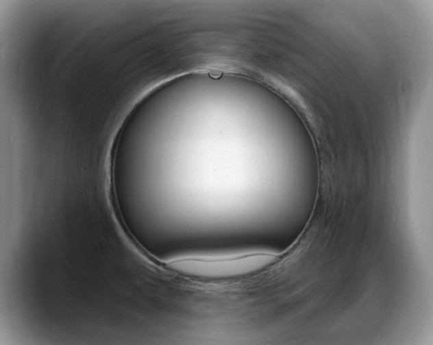 X0000088871479200706080711