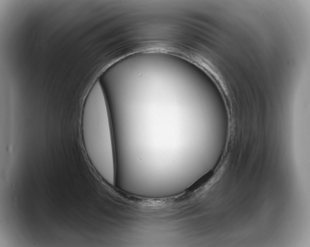 X0000088871481200706080711