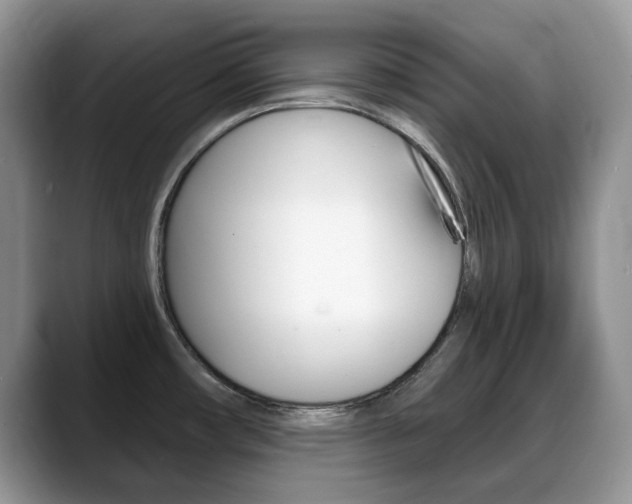 X0000088871482200706080711