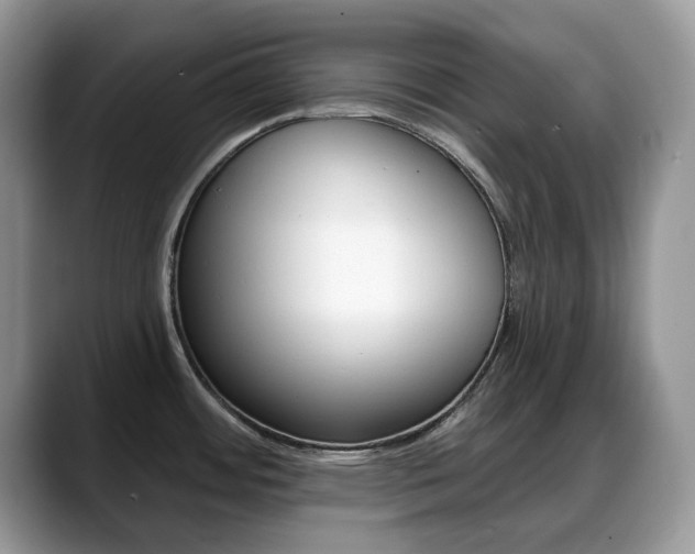 X0000088871484200706080711