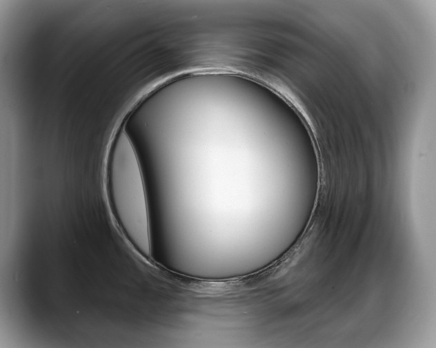 X0000088871485200706080711