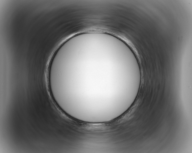 X0000088871486200706080711