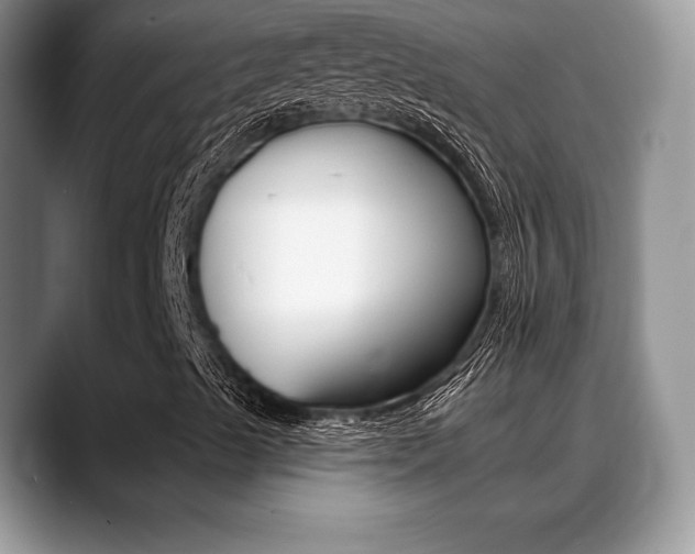 X0000088871489200706080710