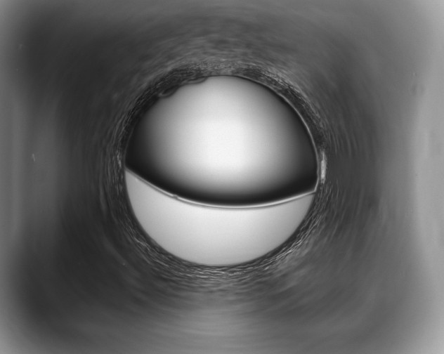 X0000088871492200706080710