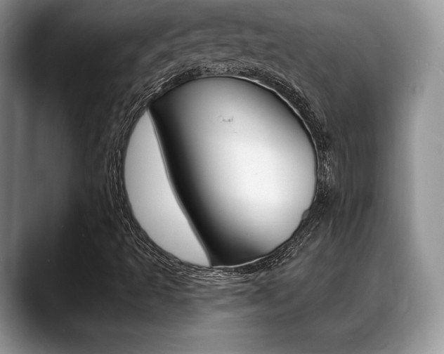 X0000088871493200706080710