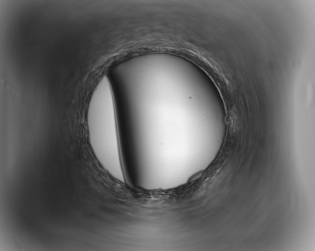 X0000088871494200706080710