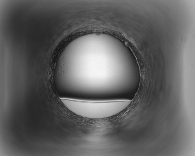 X0000088871495200706080710