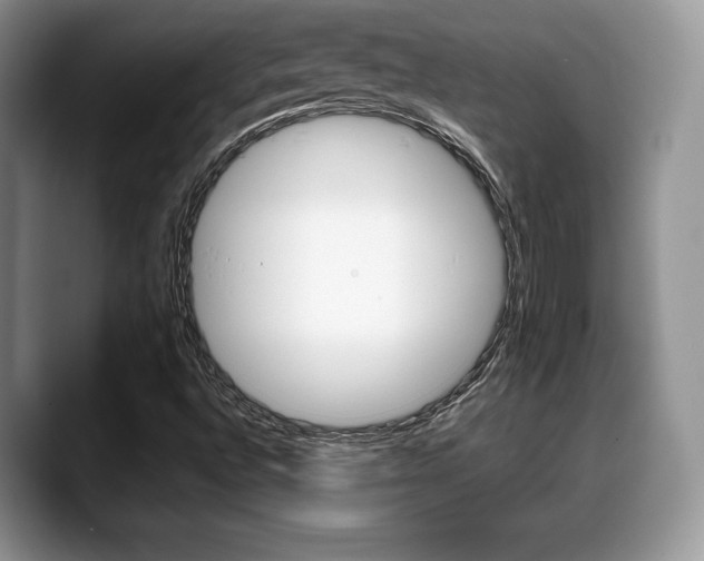 X0000088871496200706080710