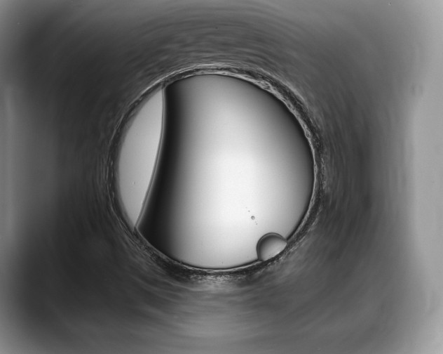 X0000088871497200706080710