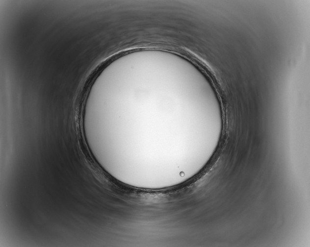X0000088871498200706080710