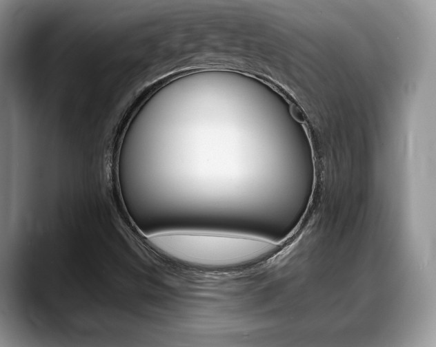 X0000088871499200706080710
