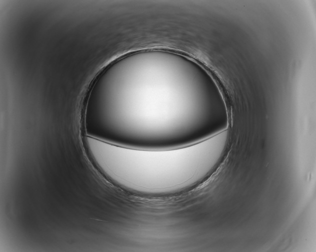 X0000088871500200706080710