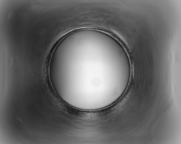 X0000088871501200706080710