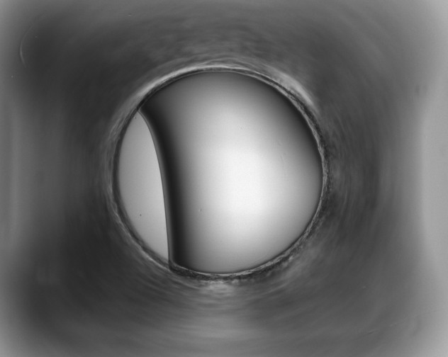 X0000088871504200706080710