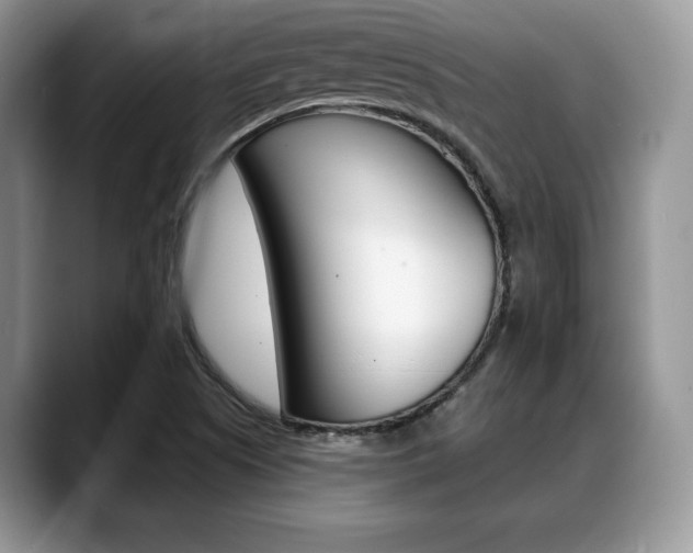 X0000088871505200706080710