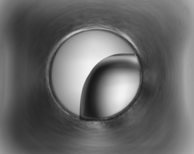 X0000088871508200706080710